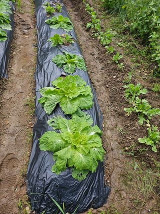 이원복님의 자유주제 · 사진전 작성글 사진