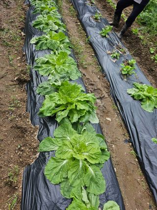 이원복님의 자유주제 · 사진전 작성글 사진