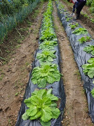 이원복님의 자유주제 · 사진전 작성글 사진