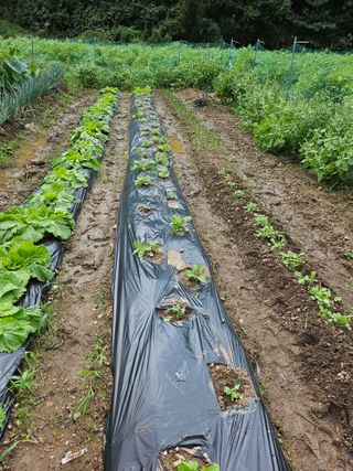 이원복님의 자유주제 · 사진전 작성글 사진