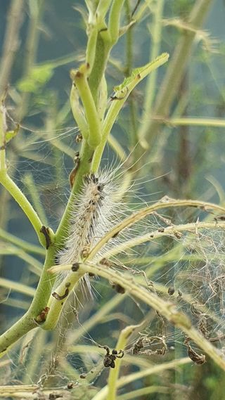 김인선님의 자유주제 · 자유게시판 작성글 사진