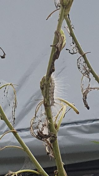 김인선님의 자유주제 · 자유게시판 작성글 사진