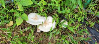 서봉열님의 자유주제 · 자유게시판 작성글 사진