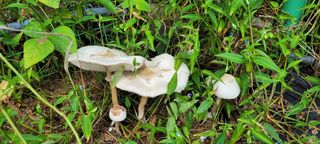 서봉열님의 자유주제 · 자유게시판 작성글 사진