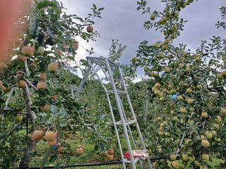알 수 없음님의 자유주제 · 자유게시판 작성글 사진