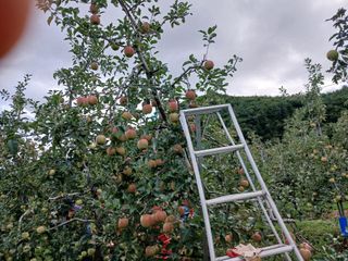 알 수 없음님의 자유주제 · 자유게시판 작성글 사진