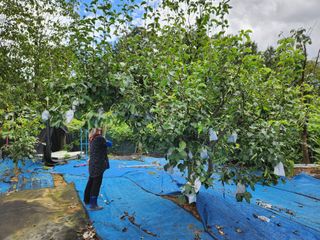 김영옥님의 자유주제 · 자유게시판 작성글 사진