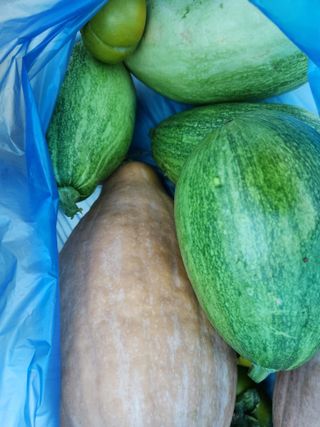 김영옥님의 자유주제 · 자유게시판 작성글 사진