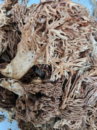 김영옥님의 자유주제 · 자유게시판 작성글 사진