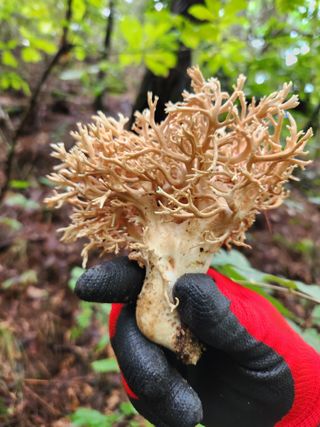 김영옥님의 자유주제 · 자유게시판 작성글 사진