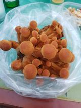 팜모닝 자유주제·자유게시판 게시글 이미지