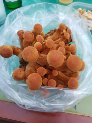 최희경님의 자유주제 · 자유게시판 작성글 사진