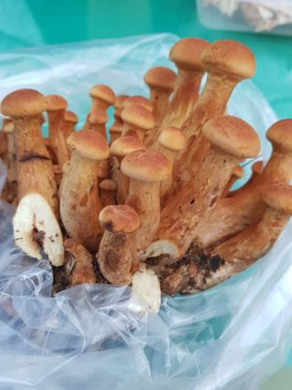 최희경님의 자유주제 · 자유게시판 작성글 사진