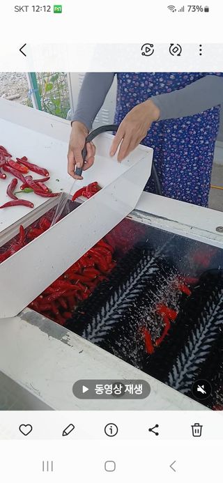 서병일님의 자유주제 · 자유게시판 작성글 사진