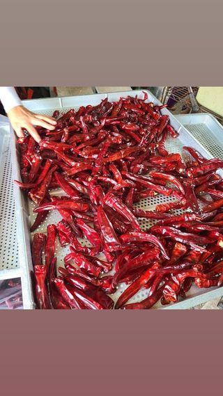 서병일님의 자유주제 · 자유게시판 작성글 사진