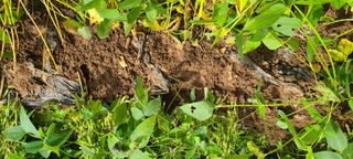 콩만세님의 자유주제 · 자유게시판 작성글 사진