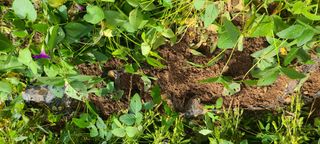 콩만세님의 자유주제 · 자유게시판 작성글 사진