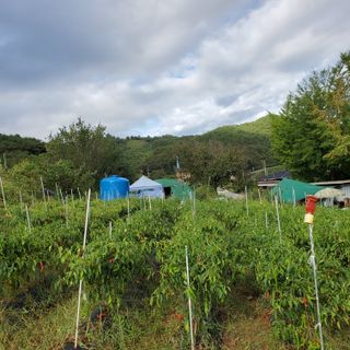 정연섭님의 자유주제 · 자유게시판 작성글 사진