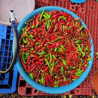 정연섭님의 자유주제 · 자유게시판 작성글 사진