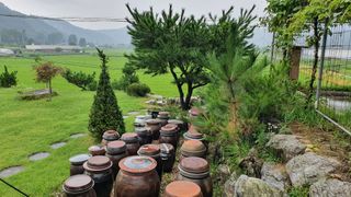 JIN님의 팜모닝 · 출석 작성글 사진