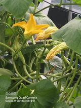 팜모닝 자유주제·자유게시판 게시글 이미지