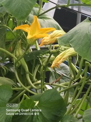 알 수 없음님의 자유주제 · 자유게시판 작성글 사진