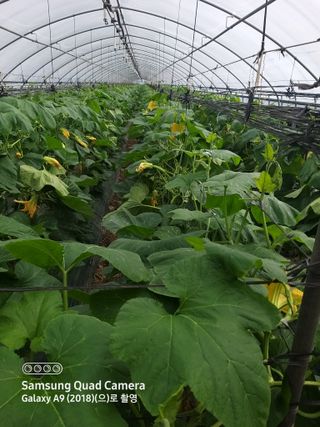 알 수 없음님의 자유주제 · 자유게시판 작성글 사진