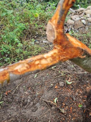 김용대님의 자유주제 · 자유게시판 작성글 사진