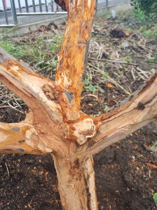 김용대님의 자유주제 · 자유게시판 작성글 사진