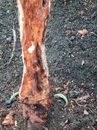 김용대님의 자유주제 · 자유게시판 작성글 사진