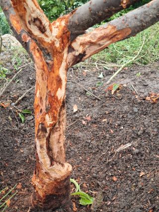 김용대님의 자유주제 · 자유게시판 작성글 사진