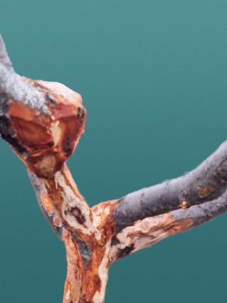 김용대님의 자유주제 · 자유게시판 작성글 사진