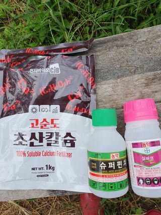 서선옥님의 감 · 영농일지 작성글 사진