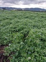 팜모닝 자유주제·사진전 게시글 이미지