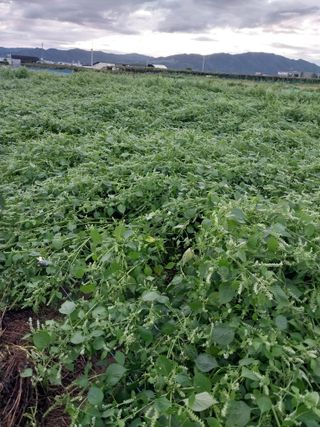 정완규님의 자유주제 · 사진전 작성글 사진