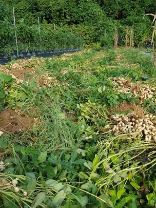 김건호님의 자유주제 · 자유게시판 작성글 사진