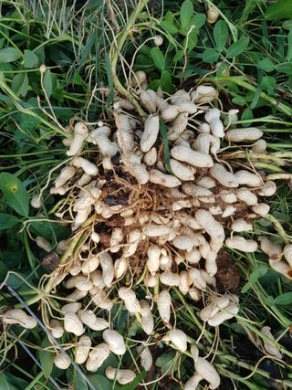 김건호님의 자유주제 · 자유게시판 작성글 사진