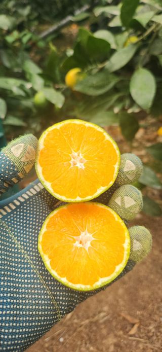 김경희님의 작성글 사진