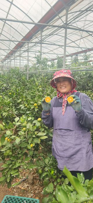 김경희님의 작성글 사진