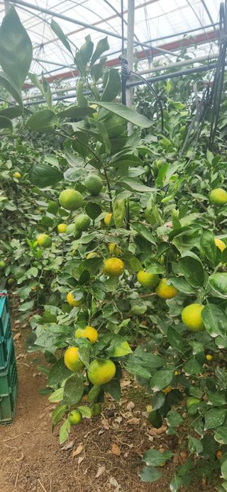 김경희님의 작성글 사진