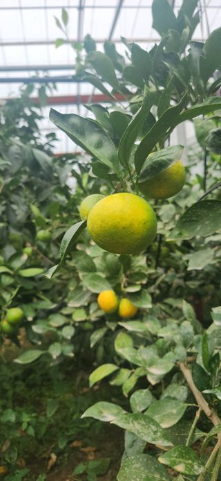 김경희님의 작성글 사진