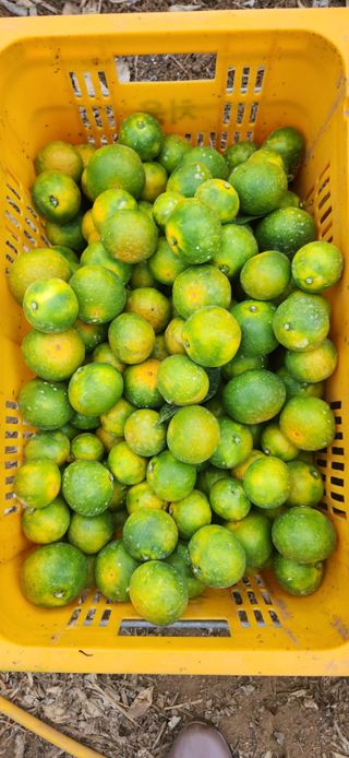 김경희님의 작성글 사진