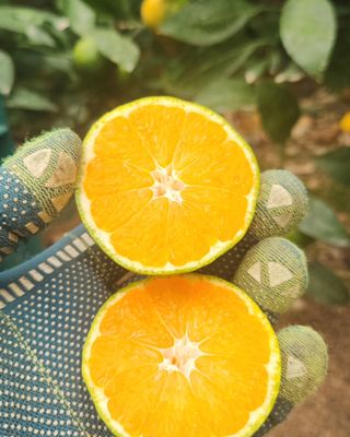 김경희님의 작성글 사진