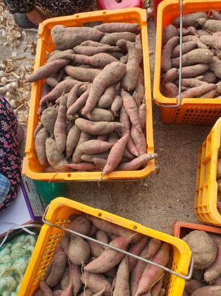 옥천서화농님의 자유주제 · 자유게시판 작성글 사진
