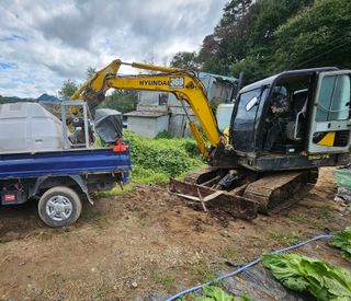 뿡뿡농장님의 배추 · 영농일지 작성글 사진