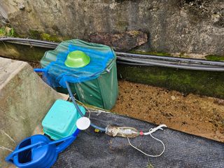 뿡뿡농장님의 배추 · 영농일지 작성글 사진