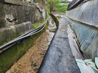 뿡뿡농장님의 배추 · 영농일지 작성글 사진