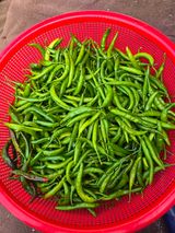 팜모닝 고추·영농일지 게시글 이미지