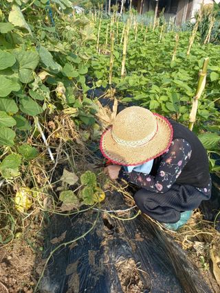 조정숙(1955)님의 작성글 사진