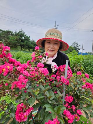 조정숙(1955)님의 작성글 사진